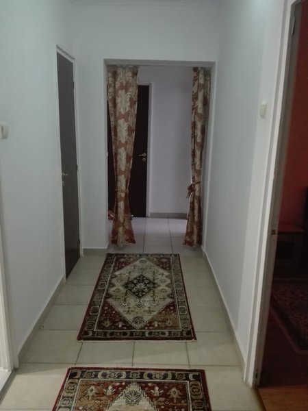 Teiul Doamnei, Colentina,