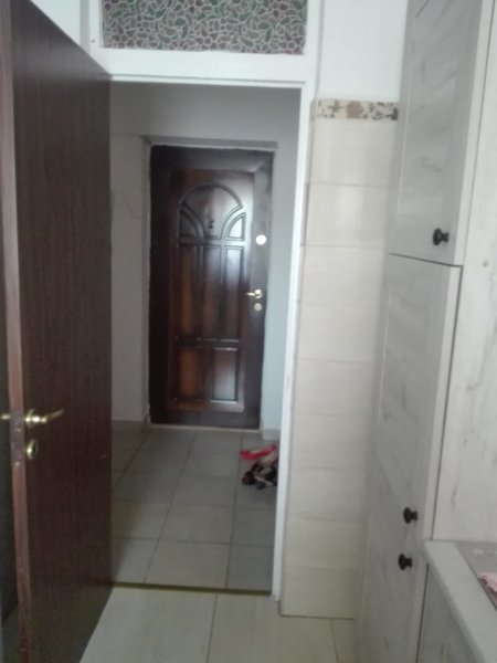 Teiul Doamnei, Colentina,